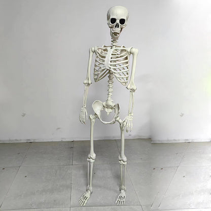 Anatomisches Modell