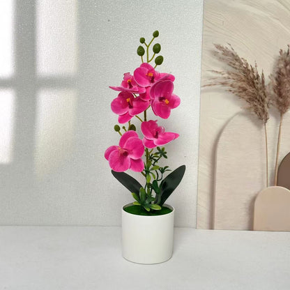 Elegante Orchideen Floral Centerpiece