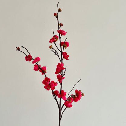 Kirschblüten Floral Stem
