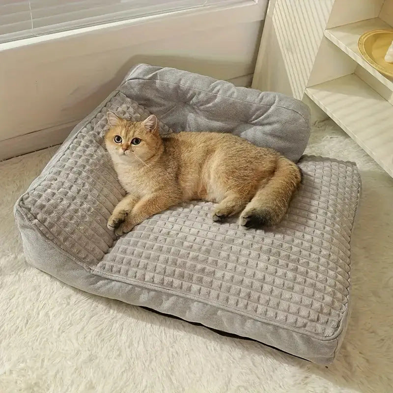 Erhöhtes Orthopädisches Lounge-Hunde Bett