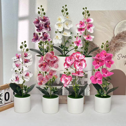 Elegante Orchideen Floral Centerpiece