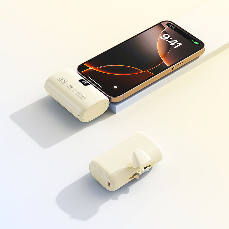 Tragbarer Powerbank mit Integriertem Ladegerät Brehn