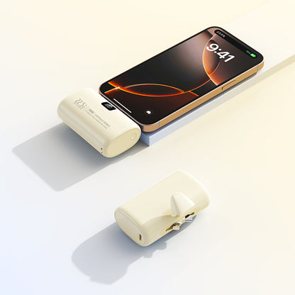 Tragbarer Powerbank mit Integriertem Ladegerät Brehn