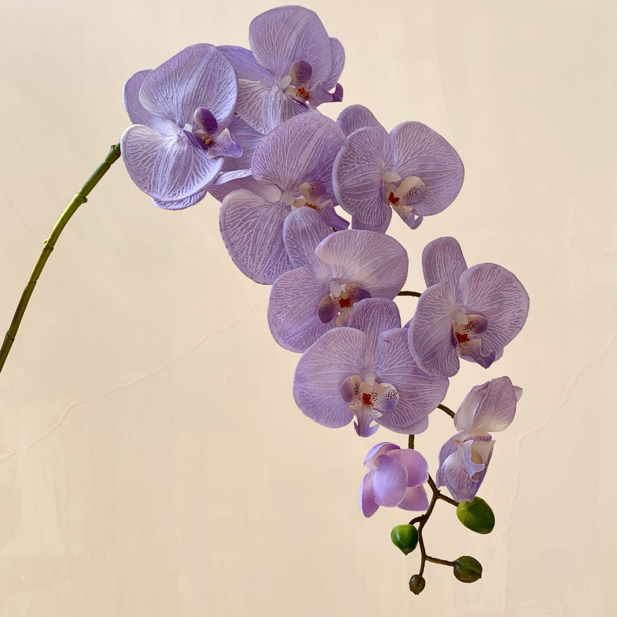 Elegante Künstliche Orchideenblütenstängel