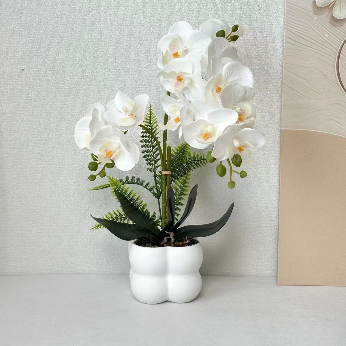 Premium lebensechte Orchideenpflanzenarrangement