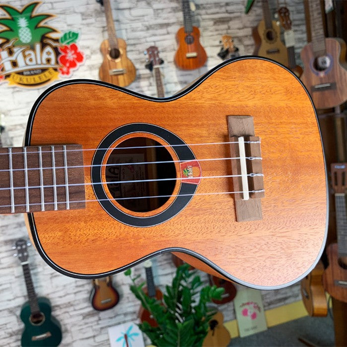 21-Zoll Reise Ukulele Brehn