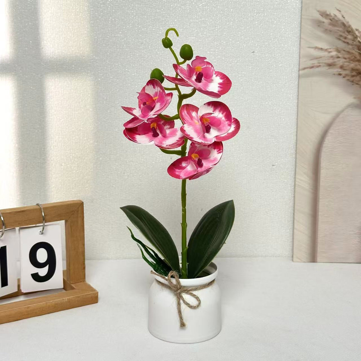 Lebensechte Orchideenpflanzenanordnung für die Innendekoration
