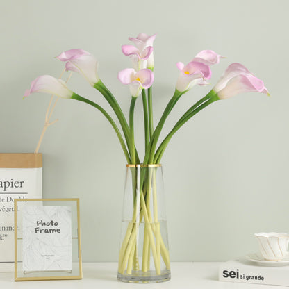 Elegante Kunst-Kalla-Lilienstängel