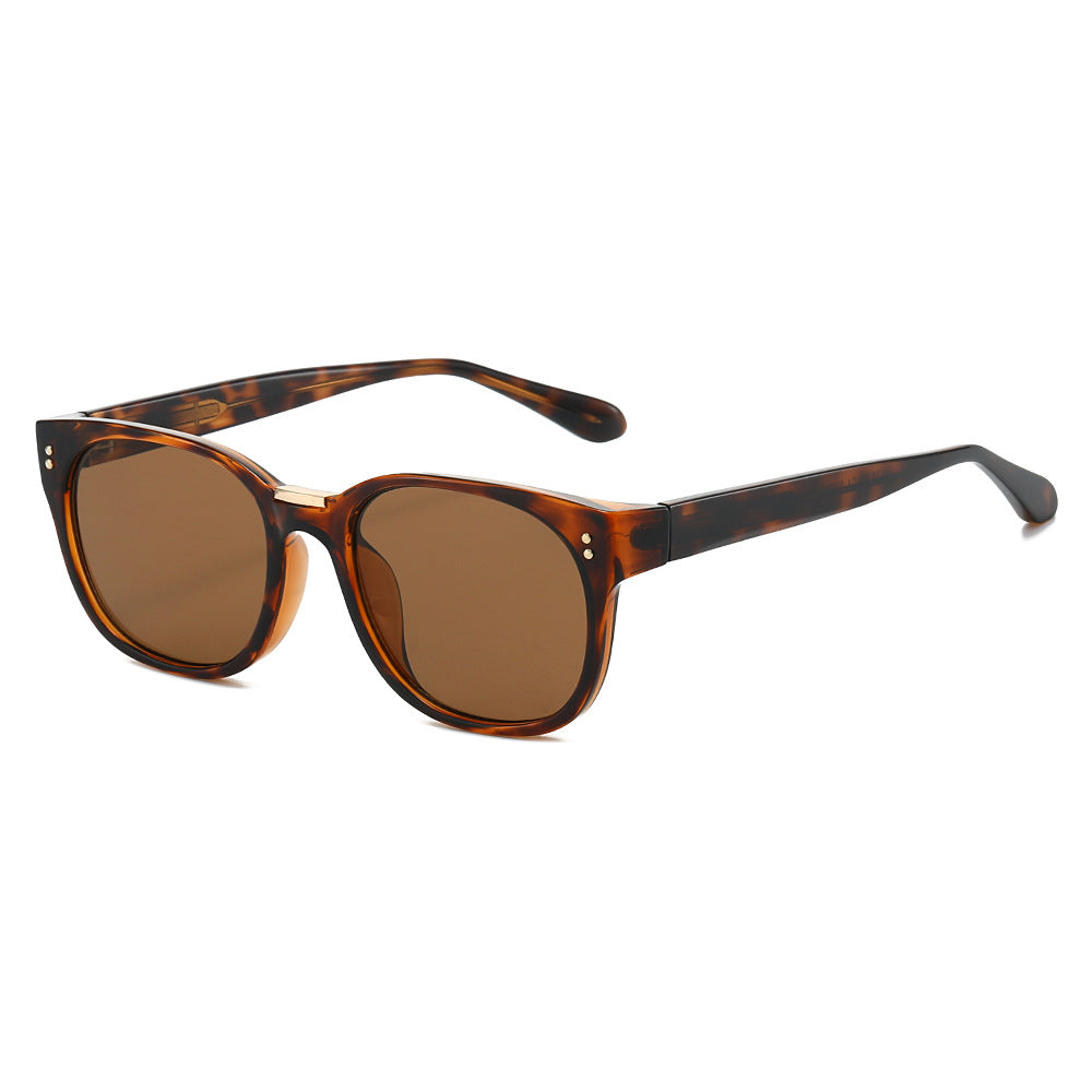 Damen modische Sonnenbrille mit transparentem Rahmen und eleganten Details Brehn