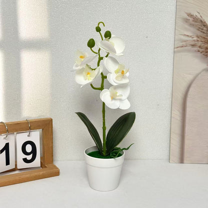 Dekorative Künstliche Orchidee für die Heimdekoration