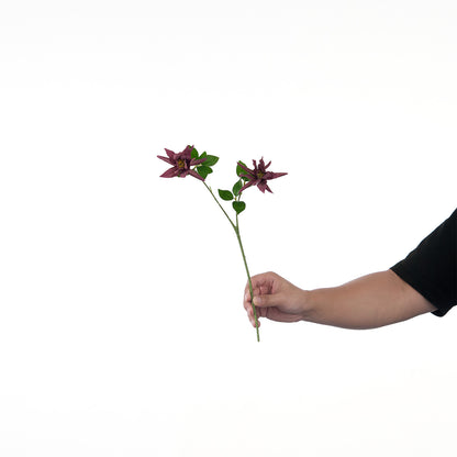 Lebensechte Mehrblütenblumenstiel