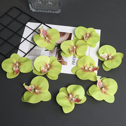 Dekoratives Orchideenblatt für die Wohnkultur展示