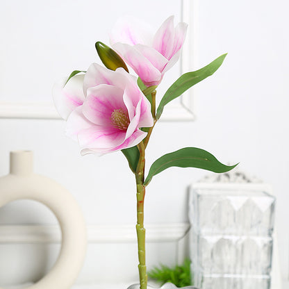 Elegantes Magnolien-Blumenarrangement für die Wohnkultur