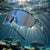 Herren Performance Sport Shield Sonnenbrille Brehn