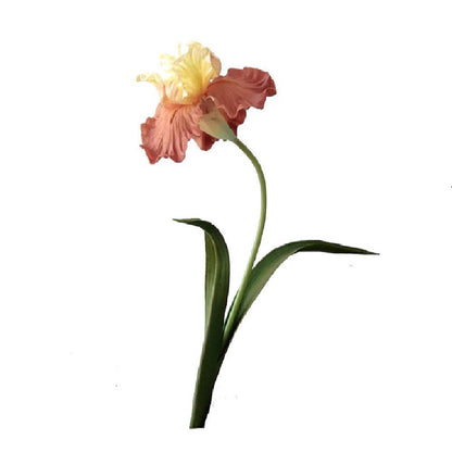 Dekorativer Iris-Blumenstiel