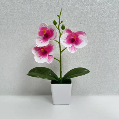 Dekorative künstliche Orchideenpflanze für die Wohnkultur展示