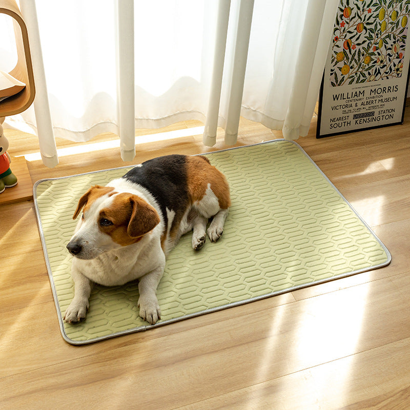 Orthopädische Komfort-Hundematte