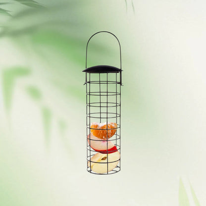Transparenter Vogelhaus Brehn