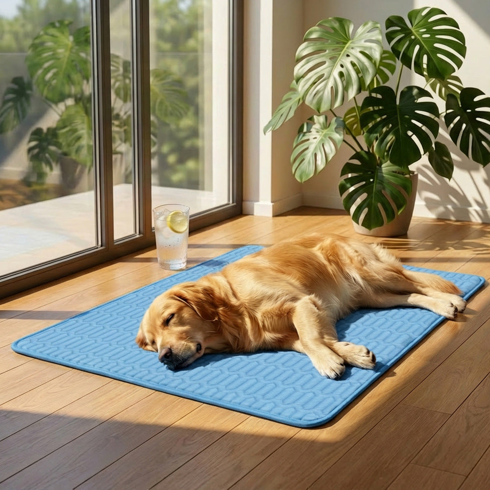 Damen atmungsaktive und stilvolle Yogamatte Brehn
