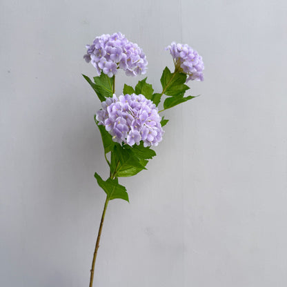 Dekorative Hortensienstängel