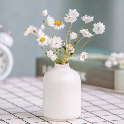 Natürlich getrocknetes Blumenstrauß Arrangement