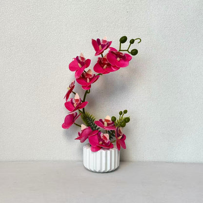 Elegante Orchideenblumenarrangement