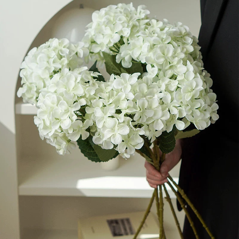 Hydrangea Dekorativer Floraler Stiel