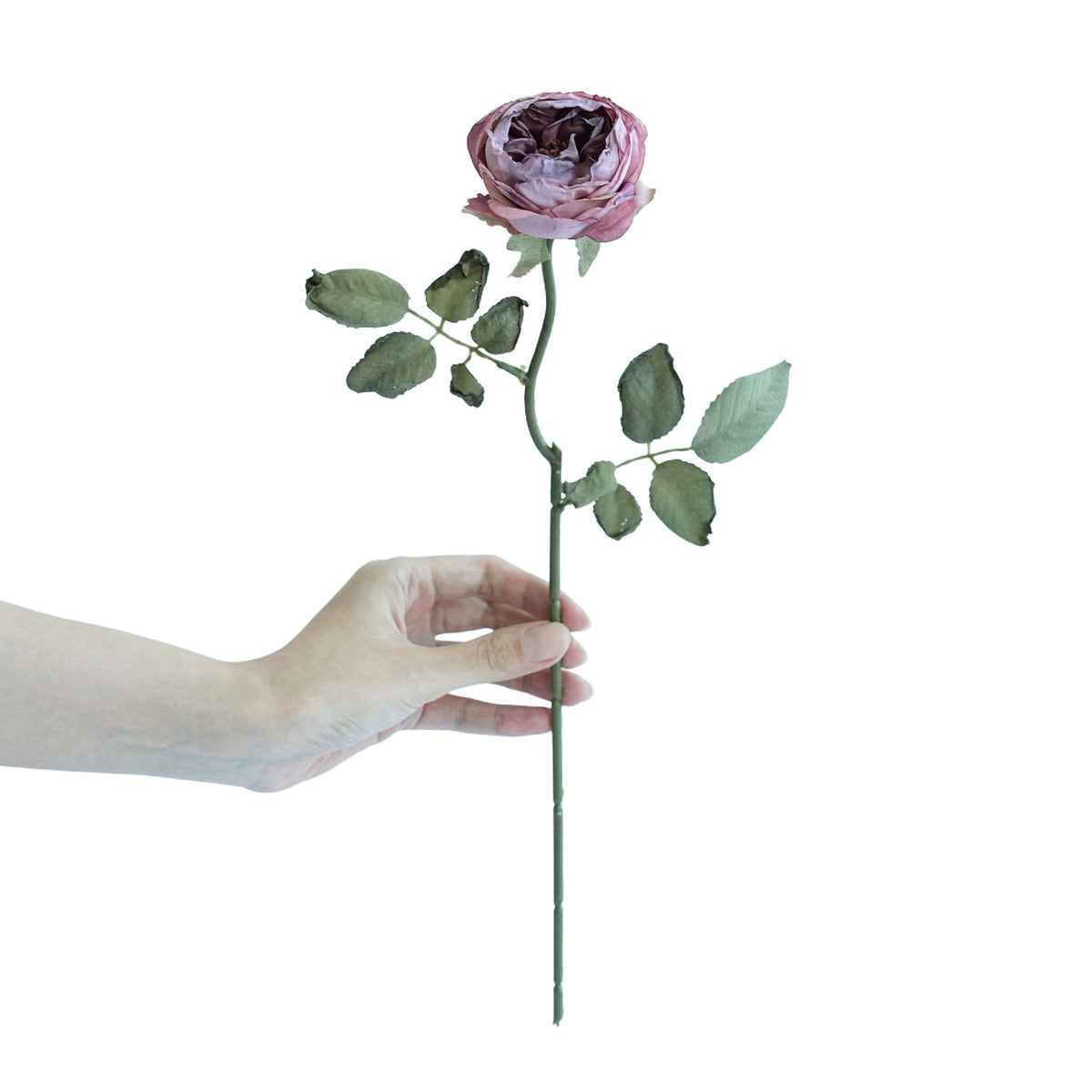 Lebensechte Rosenstiel Dekoration