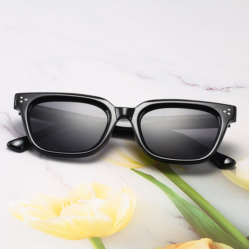 Modische Acryl-Sonnenbrille Im Modernen Design Brehn