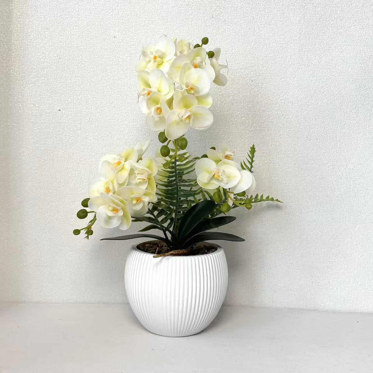 Dekorative Orchideenpflanze für dekorative Wohnraumgestaltung