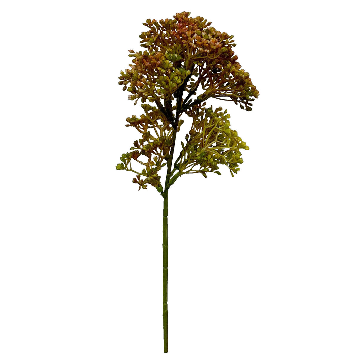 Lebensechte botanische Stielanordnung