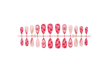 Nagellackset mit kunstvollen Designs Brehn