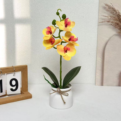 Lebensechte Orchideenpflanzenanordnung für die Innendekoration