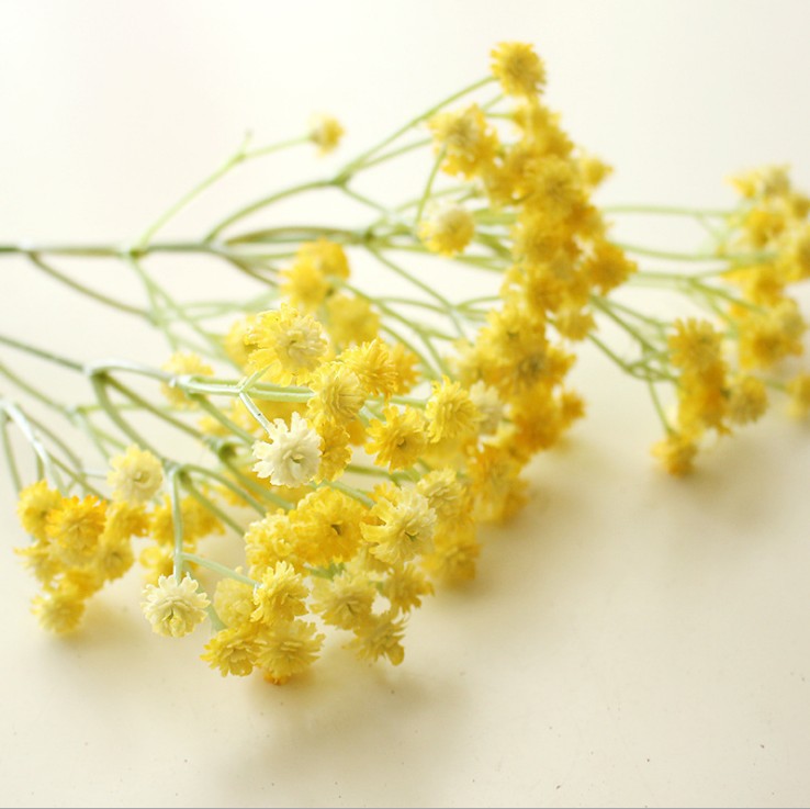 Elegante Florale Dekoration