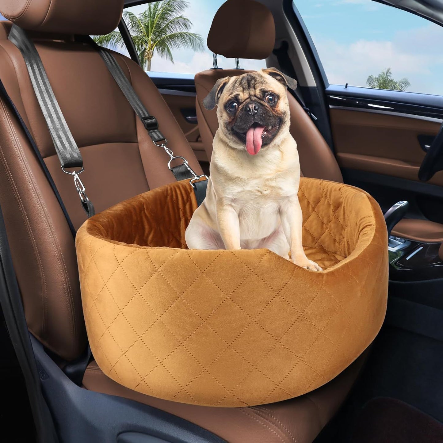Hunde-Reisesitz Brehn