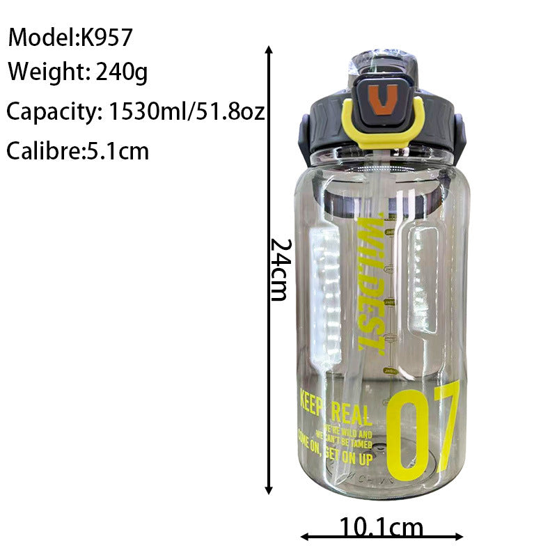 Damen große Wasserflasche mit integriertem Strohhalm und Tragegriff Brehn