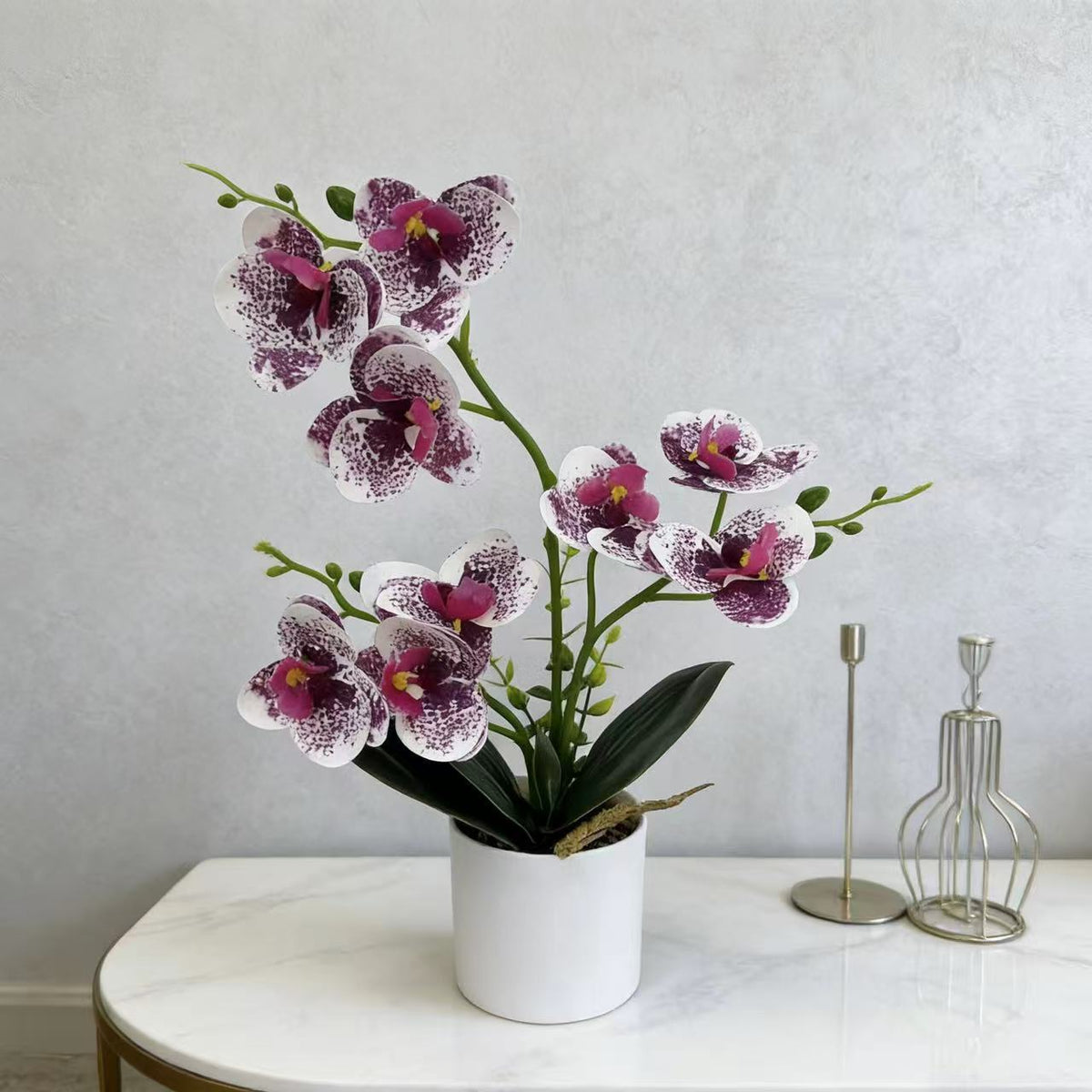 Dekorative Orchidee für die Wohnkulturanzeige