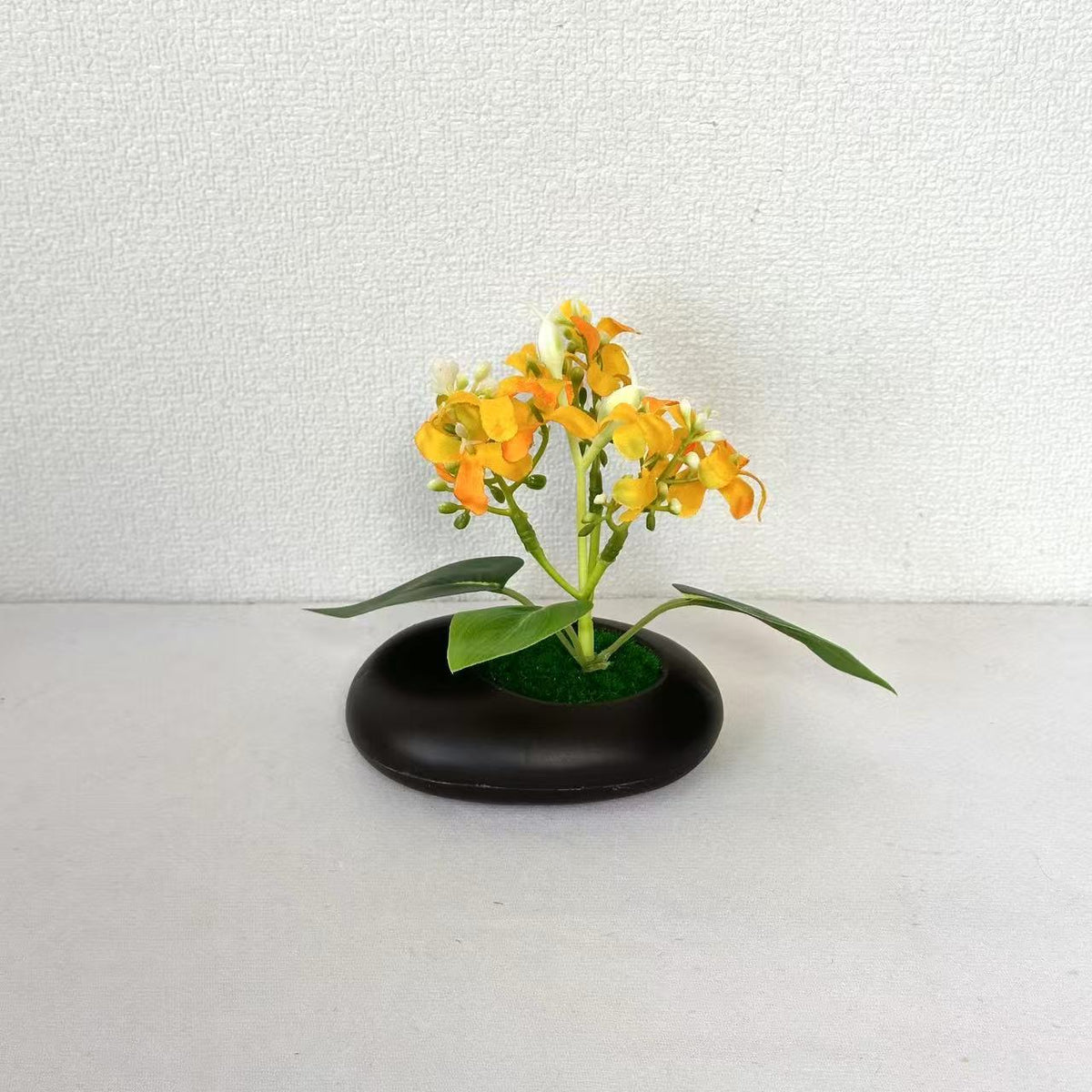 Elegante dekorative Topforchidee für die Inneneinrichtung