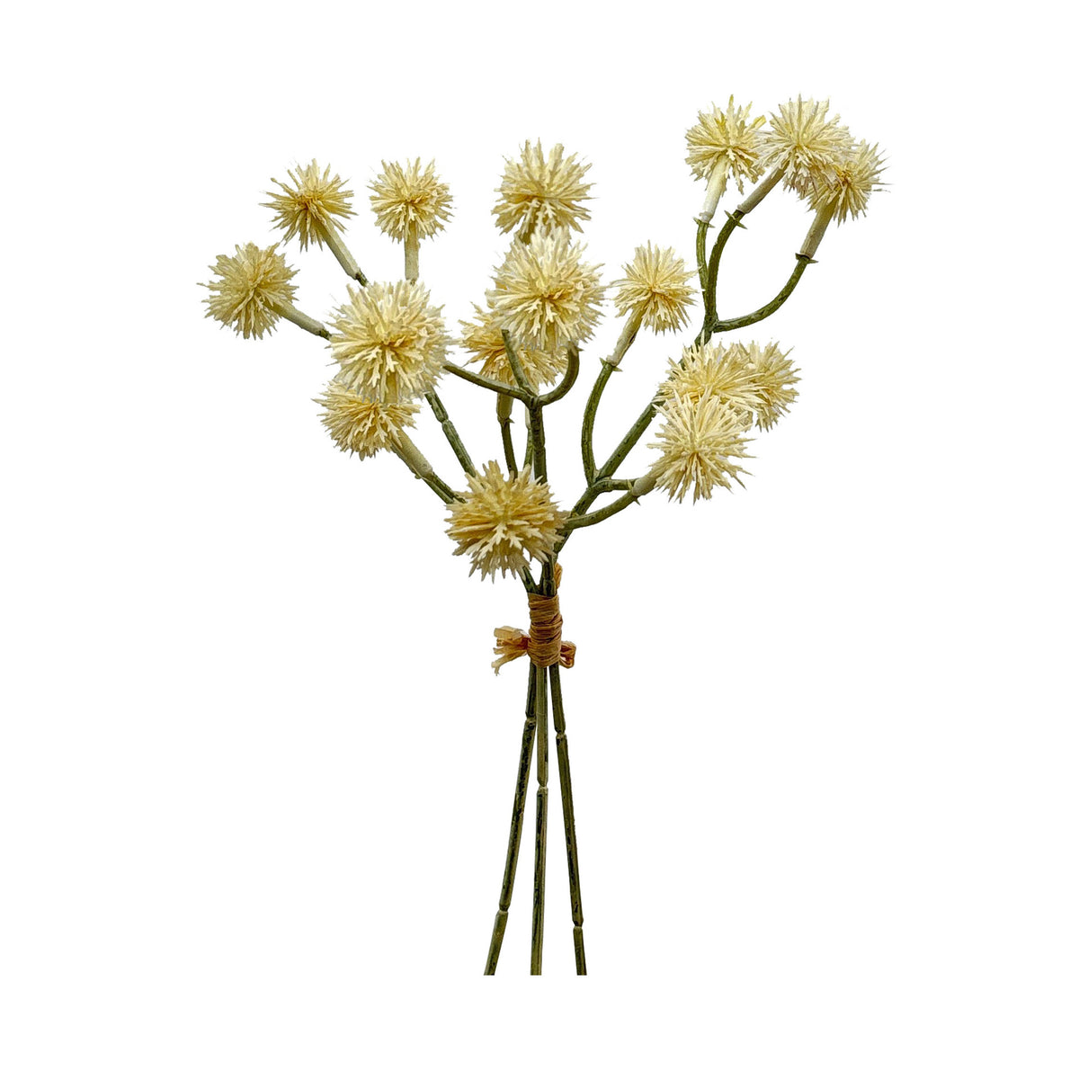 Natürlicher dekorativer Blumenstängel
