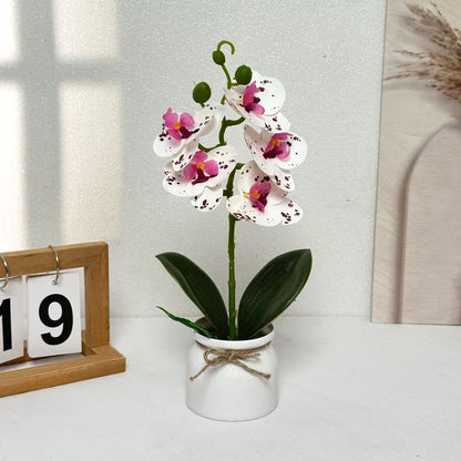 Lebensechte Orchideenpflanzenanordnung für die Innendekoration
