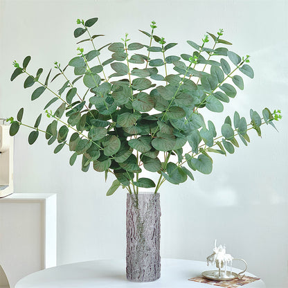 Eukalyptus Dekorative Anordnung