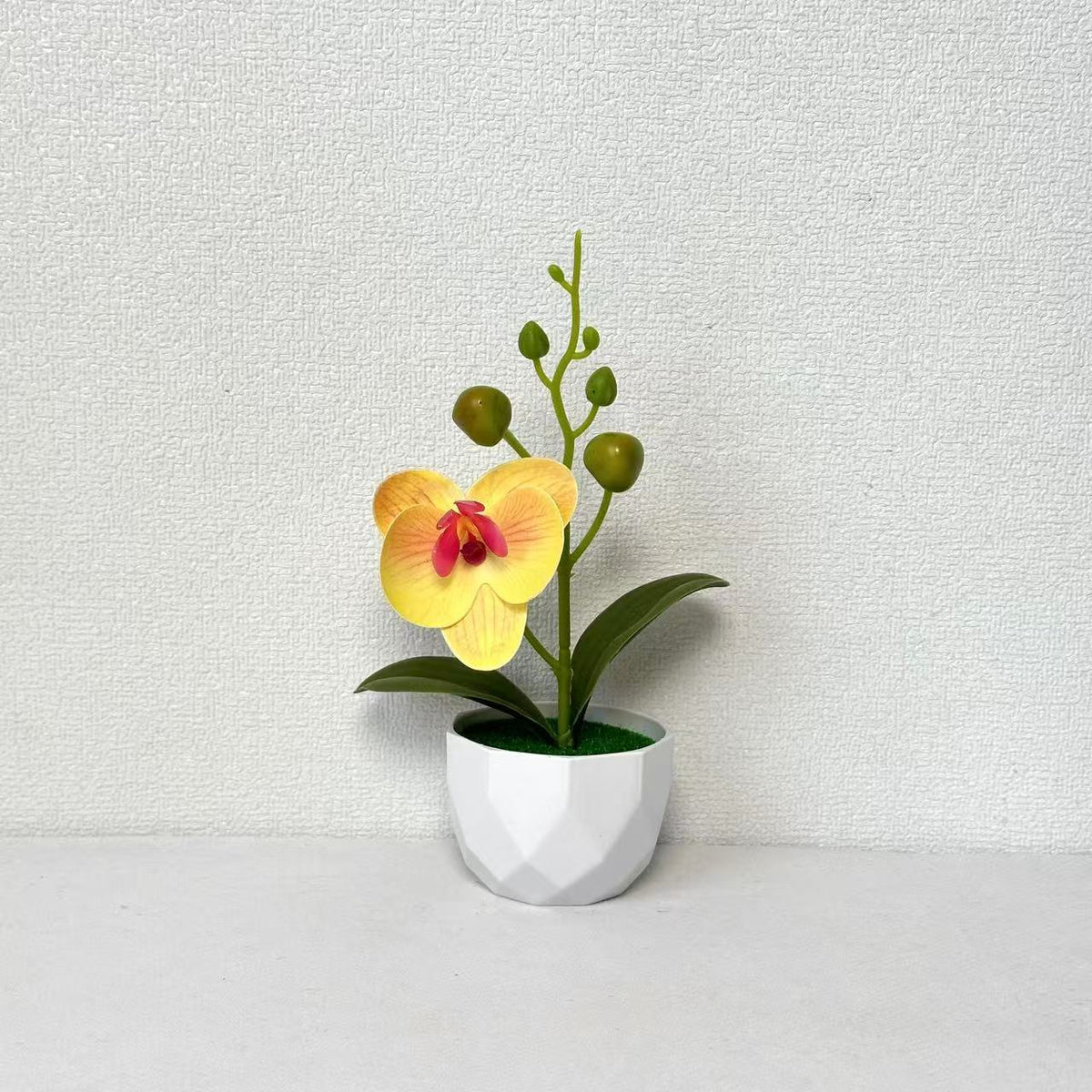 Orchideenpflanzenarrangement