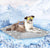 Kühlende Outdoor-Hundematte