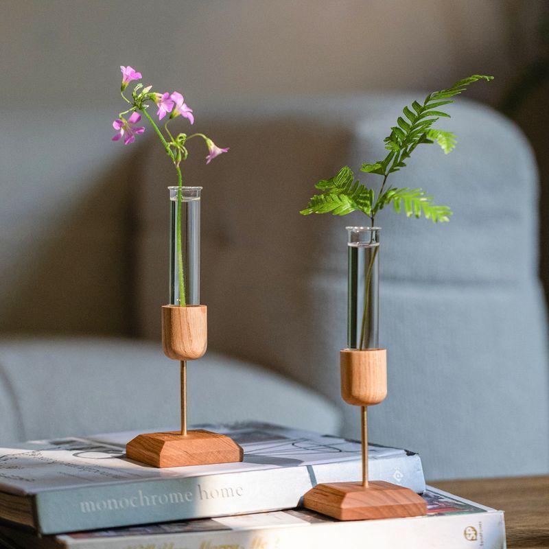 Moderner Reagenzglas-Blumenvasen