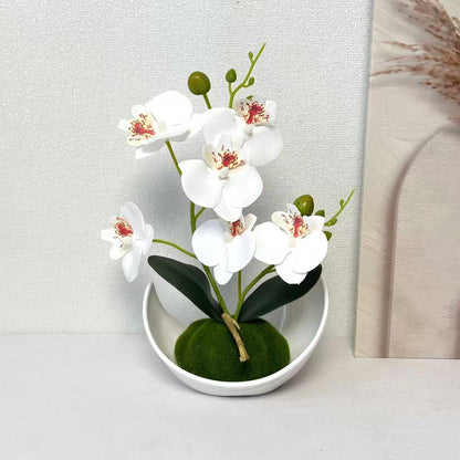 Orchideen Dekorativer Mittelpunkt