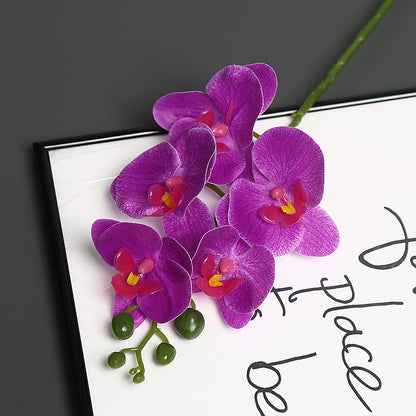 Lebensechter Orchideenblütenstiel