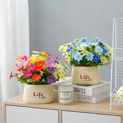 Dekorativer Topfpflanzenscheinblumen-Arrangements