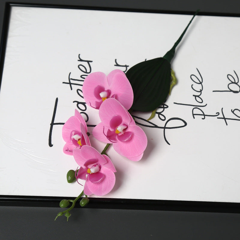 Dekorative Orchideenstängel für die Heimdekoration