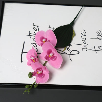 Dekorative Orchideenstängel für die Heimdekoration