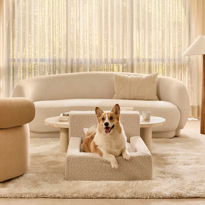 Modernes Lounge Sofa Hundebett